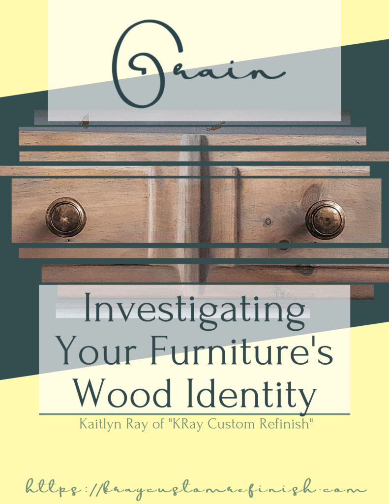 Grain Investigating Your Furniture Wood Identity Cover