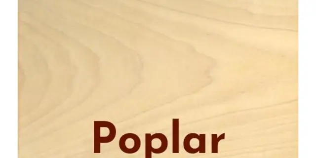 The Ultimate Guide to Identifying Wood Types in Furniture 25 Identifying Wood Types in Furniture Poplar
