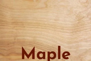 The Ultimate Guide to Identifying Wood Types in Furniture 20 Identifying Wood Types Furniture Maple